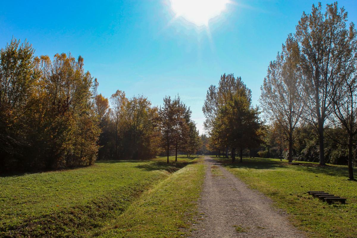 Bosco di Campalto